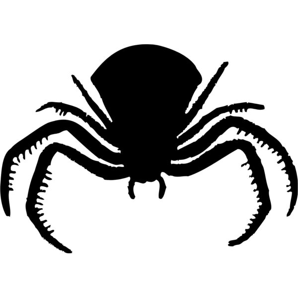 Spider Silhouette 14 Thumbnail