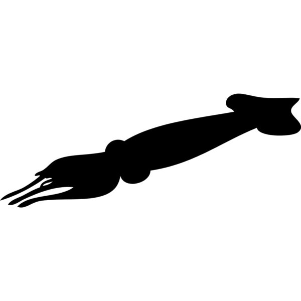 Squid Silhouette 4 Thumbnail