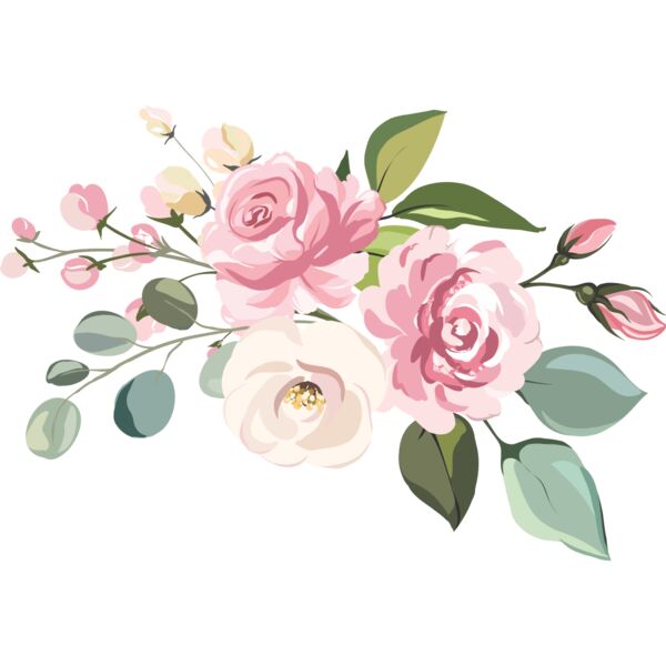 Pink Roses Flower 11 Thumbnail