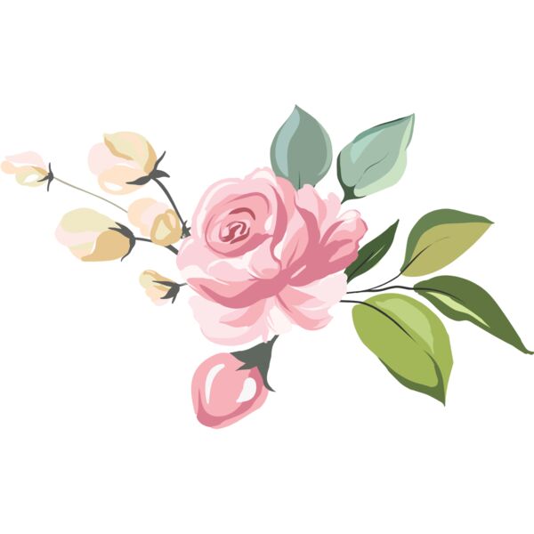 Pink Roses Flower 1 Thumbnail