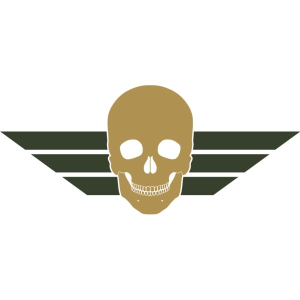 Military Skull Wings Emblem 1 Thumbnail