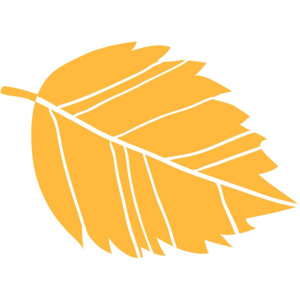 Autumn Fall Leaf 20 Thumbnail