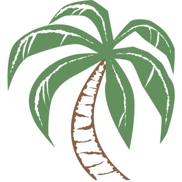 Summer Palm Tree 10 Thumbnail