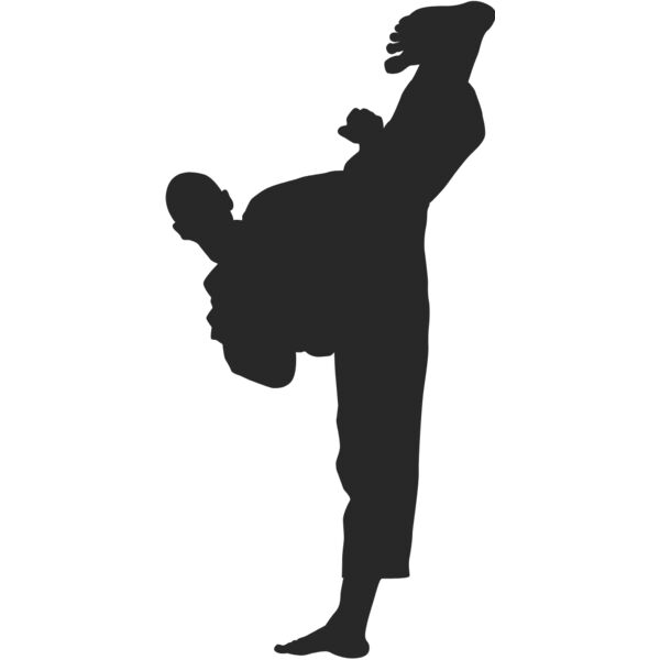 Martial Arts Fighter Silhouette 15 Thumbnail