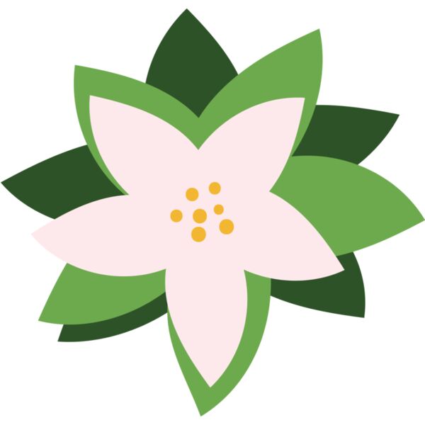 Christmas Flower 1 Thumbnail