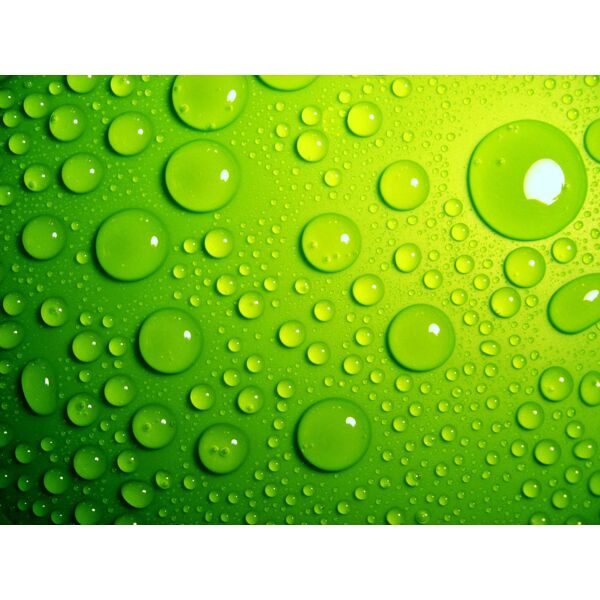Green Water Drops Background 1 Thumbnail